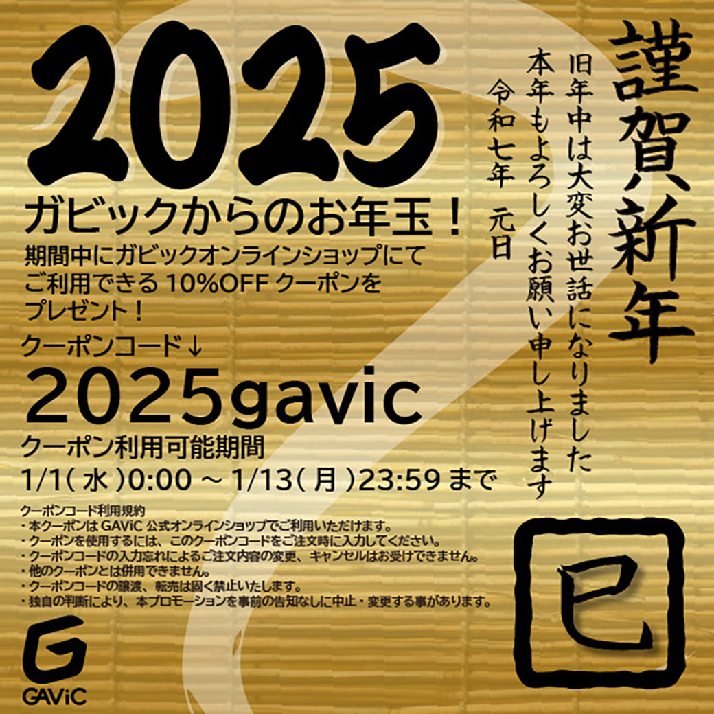 新年のご挨拶 2025年 – GAViC